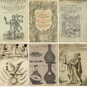 31 Rare Old Books of ALCHEMY - Andreas Libavius Hermeticism - Heinrich Khunrath Amphitheatrum sapientiae aeternae Digital Download ZIP files