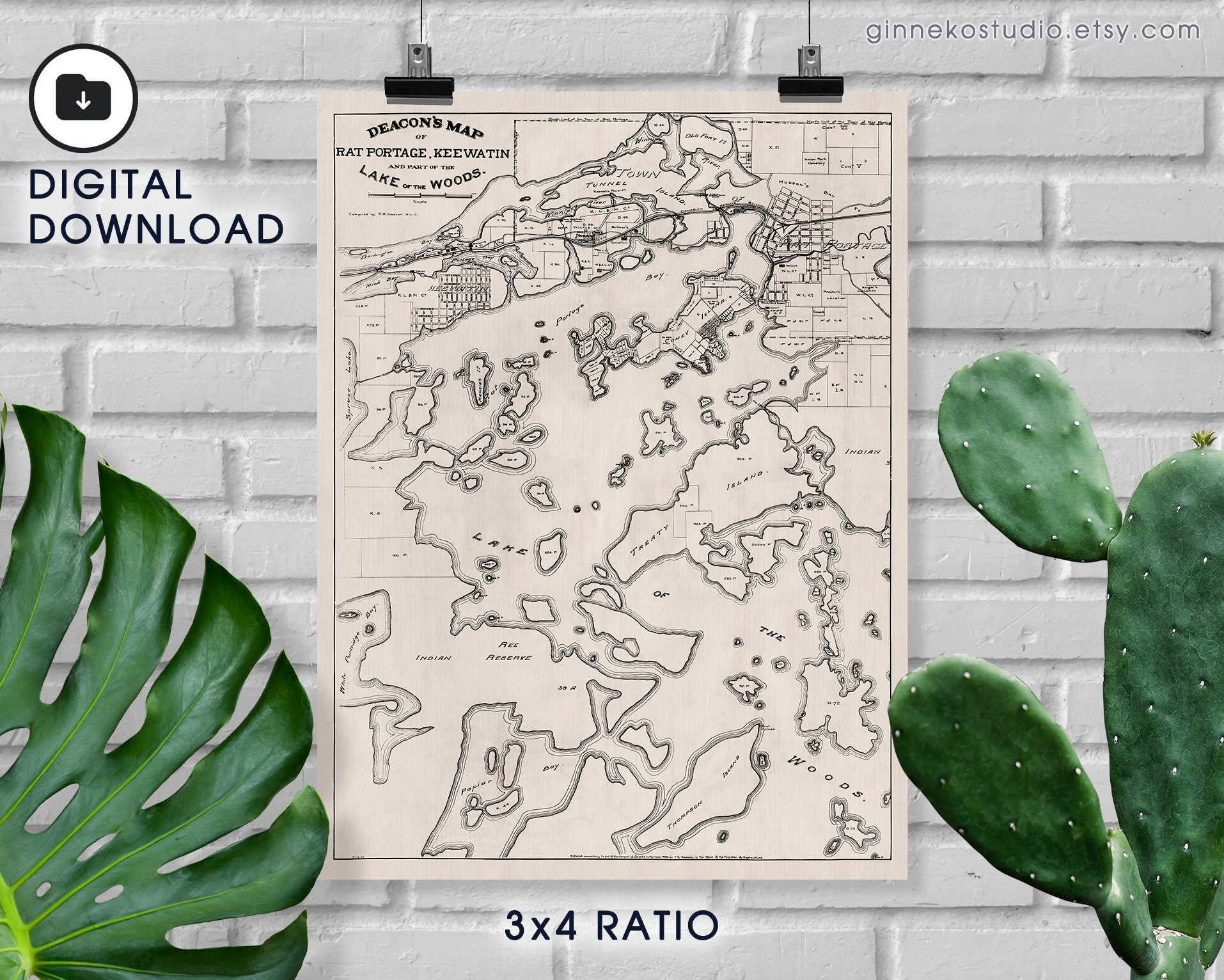 Digital Download - Vintage 1894 Map of Lake of the Woods, Keewatin and Rat Portage (Kenora)