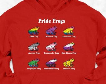 Sudadera con capucha de ranas del orgullo, sudadera con capucha de aliado LGBT, sudadera con capucha de animales del orgullo, sudadera con capucha queer del Mes del Orgullo, sudadera con capucha de rana con bandera LGBTQ+, regalo para simpatizantes del Orgullo LGBTQ