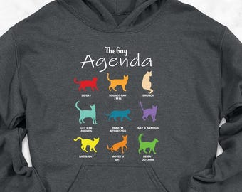 The Gay Agenda Hoodie, LGBT Cat Hoodie, wlw Hoodie, Bisexual Pride, Trans Pride, Queer Hoodies, Sounds Gay I'm In Hoodie, Be Gay Do Crime
