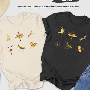 May include: Two t-shirts, one natural and one dark grey heather, each featuring insect illustrations in various colors. The natural shirt is paired with a straw hat, sunglasses, and blue sneakers. The dark grey shirt is next to a pair of jeans.