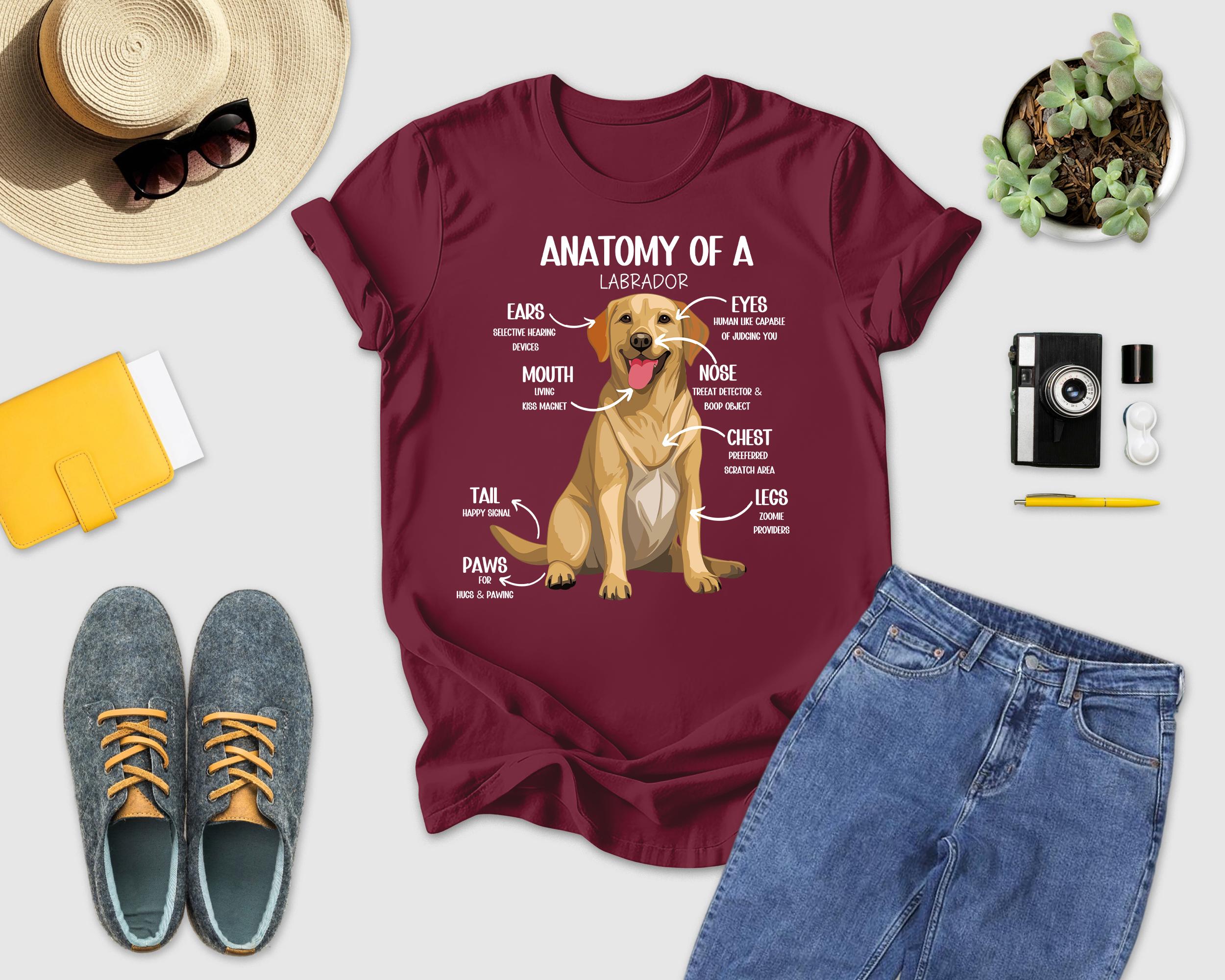Anatomy of Labrador Shirt, Funny Labrador Retriever Gift, Labrador ...