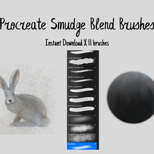 Smudge Blend Brushes per Procreate X 11 - download istantaneo di file digitali