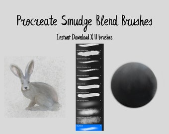 Smudge Blend Brushes for Procreate X 11 - instant download digital files