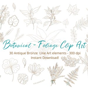 Antique Bronze Botanical Foliage Art Hand drawn clip art illustration- design elements - 30 X PNG files - instant download (zip files)