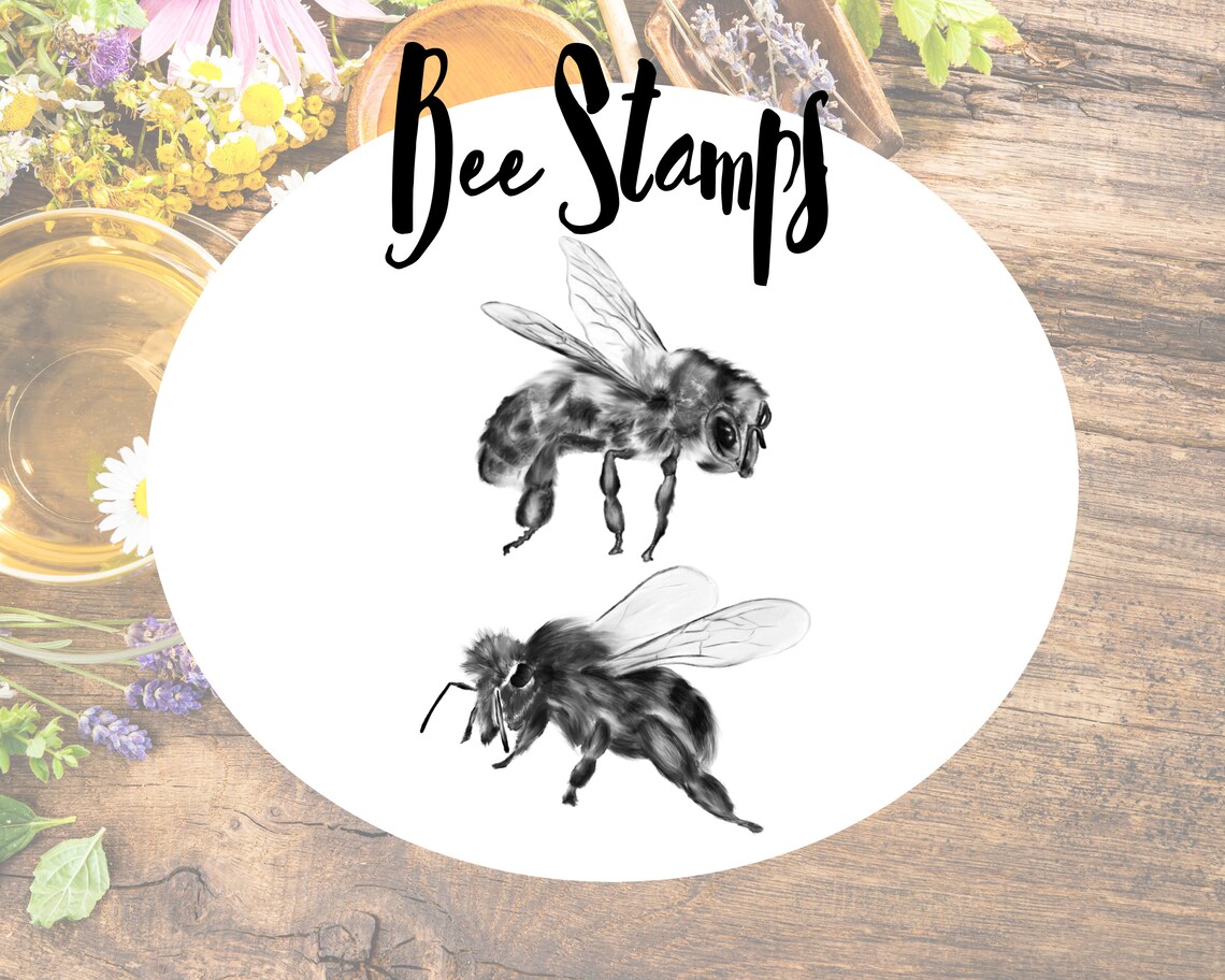 Hey Honey Lettering Brushes X2, Bee Stamps X 2 and Palette Procreate 5