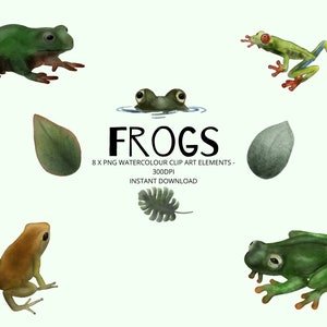 Frogs - 8 X watercolour clip art design elements - PNG 300 dpi - instant download