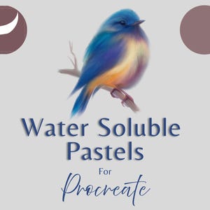 Può includere: Immagine di arte digitale con un vivace uccello blu e giallo posato su un ramo. Il testo "Water Soluble Pastels For Procreate" è visualizzato sotto l'uccello, con due elementi di design circolari su entrambi i lati.