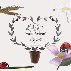 Op de afbeelding: Waterverf clipart met vijf afbeeldingen van lieveheersbeestjes in verschillende poses. De lieveheersbeestjes zijn rood met zwarte stippen en worden omringd door groene bladeren, een madeliefje, tarwehalmen en een plant in een pot. De tekst "Ladybird watercolour clipart" is geschreven in zwarte cursieve letters.