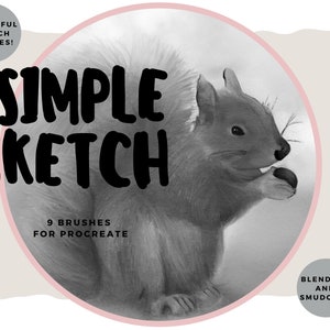 Einfache Basic Sketch Brushes für Procreate X 9 Sketch, Shade, Blend - Instant Download!