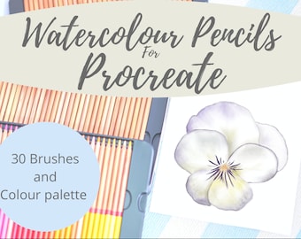 Watercolour Pencils Procreate Brushes - colour palette/ swatch / 30 brushes- instant download!