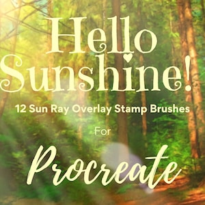 Sunshine Sun Ray Procreate Stamp Overlay Brush Set - 12 X Stamps - Descarga instantánea