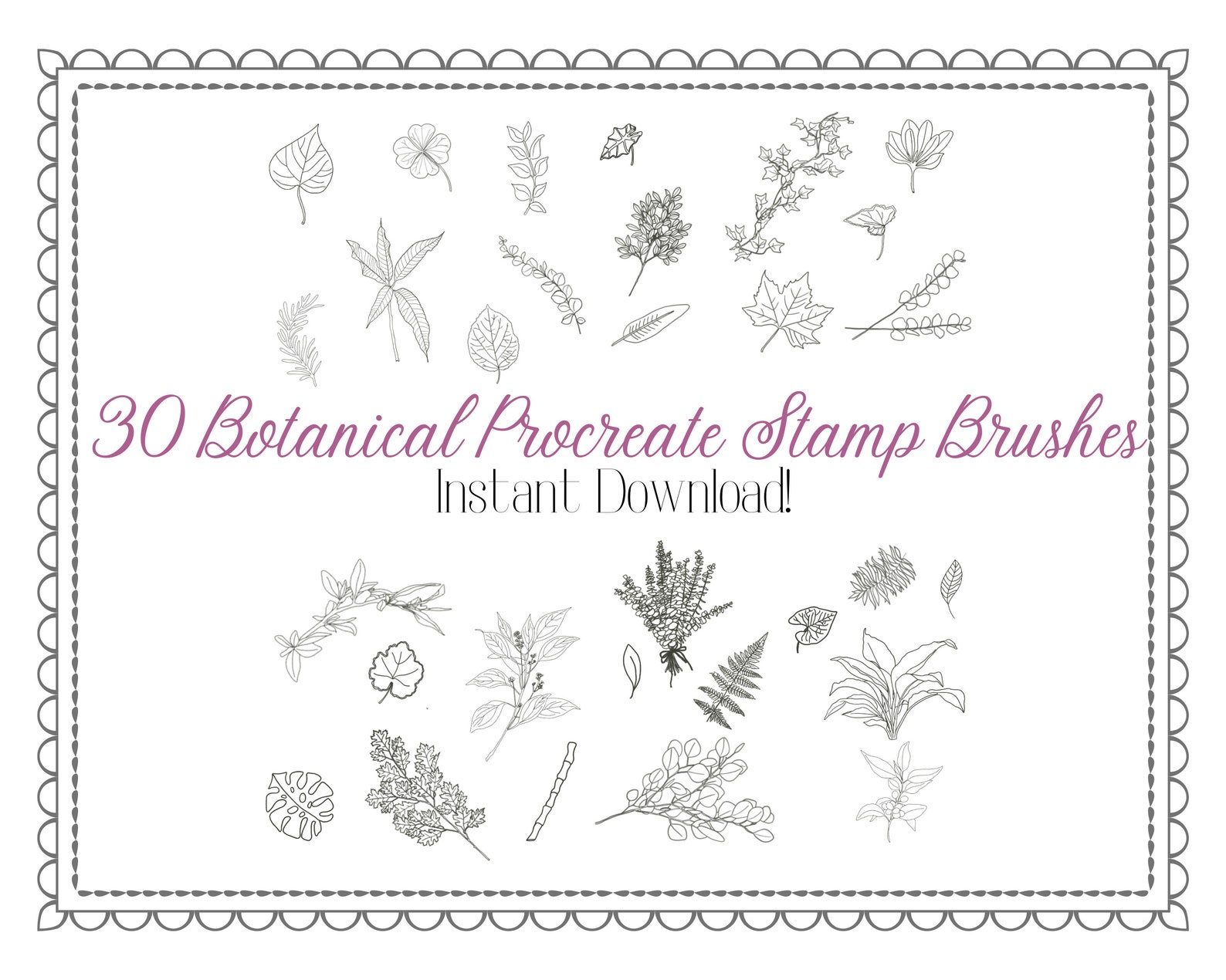Botanical Procreate Brush Set – 30 Foliage Stamp Brushes (instant ...
