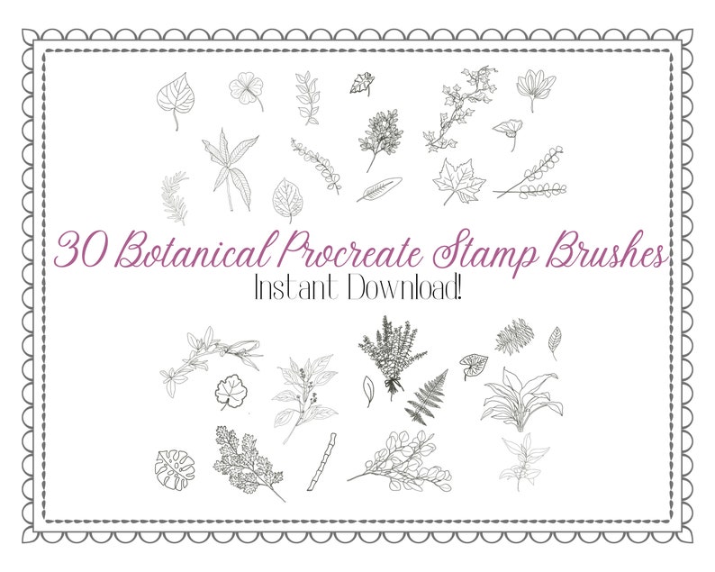 Botanical Procreate Brush Set – 30 Foliage Stamp Brushes (instant ...