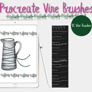 May include: A digital illustration of a white pitcher with a vine pattern on a white background. The image is on a tablet screen with a stylus next to it. A separate image shows 12 different vine brush styles for the Procreate app. The text "12 Vine Brushes" is displayed on a green circle.