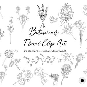 Botanical Flowers Floral Black Line Art Hand drawn clip art illustration- design elements - 25 X PNG files - instant download (zip files)