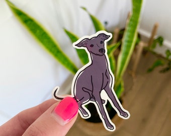 Italian Greyhound Sticker, 2.1” x 2.7” | Hand-drawn Italian Greyhound | Whippet, Greyhound, Galgo, Sighthound Sticker