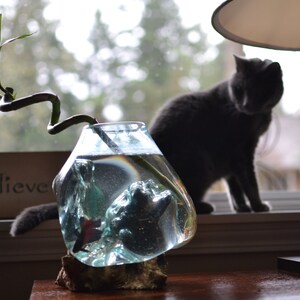 Molten Glass Vessel on Gamal Wood Base image 5