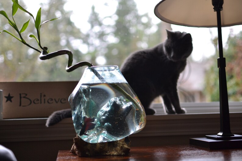 Molten Glass Vessel on Gamal Wood Base image 5