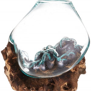 Molten Glass Vessel on Gamal Wood Base Natural Base