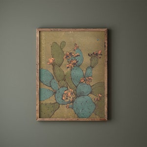 Cactus - Stampa artistica