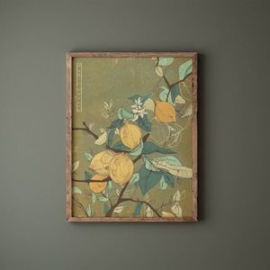 Citron - Impression d'art