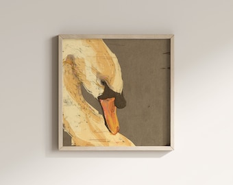 Ilustración de cisne - Impresión artística