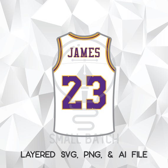 lebron james jersey white blue