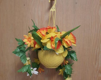 cast iron plant indoors Aspidistra Cast Iron Plant