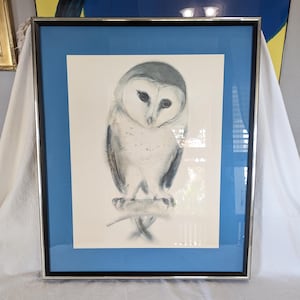 May include: Framed artwork featuring a detailed pencil drawing of a barn owl. The owl is depicted perched on a branch, with a focus on its face and eyes. The artwork is set against a light blue mat and framed in a silver metal frame.