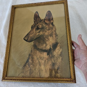 Antique German Shepherd Watercolor Painting by Arthur Wardle, Circa 1900