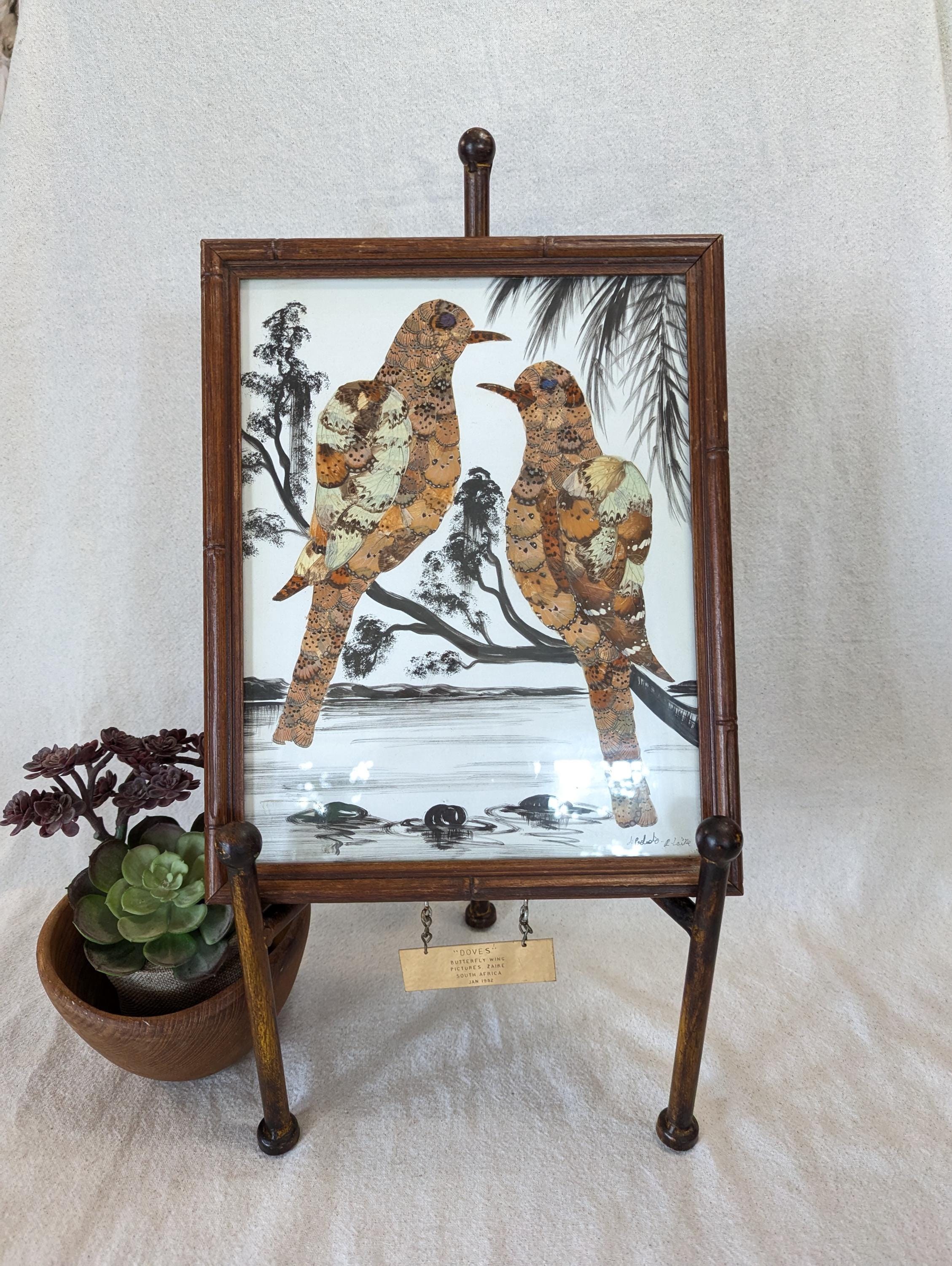 バタフライアート　アフリカ　額 African Butterfly Wing Art - Etsy