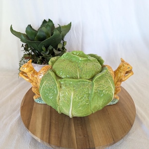 Premium AI Image | HeartShaped Cabbage on a White Background