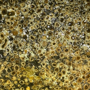 Oolite