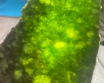 Wyoming Emerald?Snowflake Nephrite Jade Slab