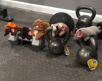 Workout with 5 Beanie Babies