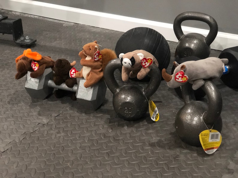 Workout with 5 Beanie Babies image 1