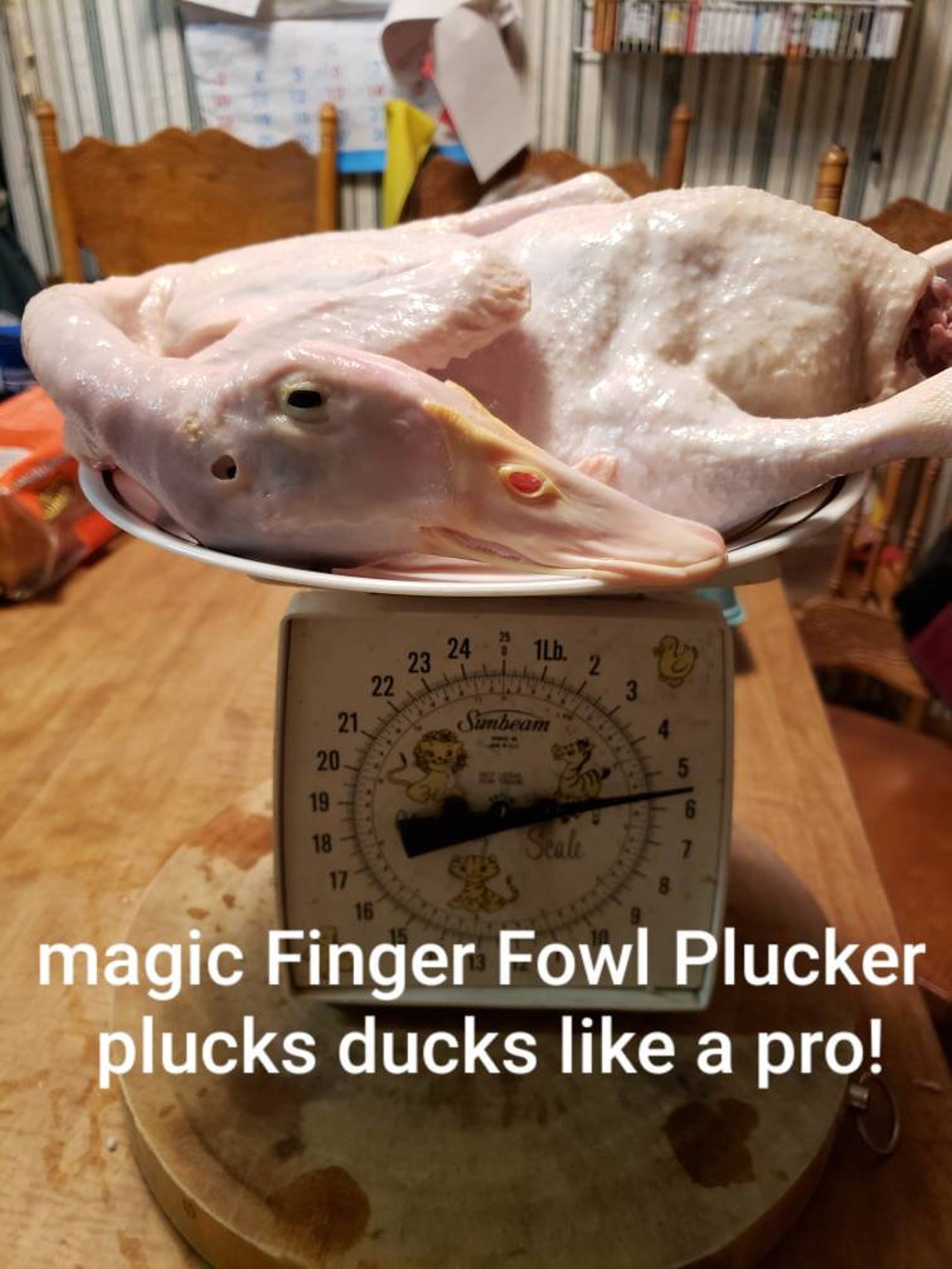 Chicken Plucker, Duck Plucker, Fish Scaler, Drill Attachment Plucker