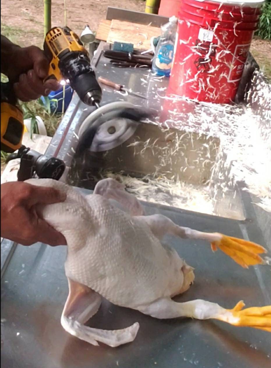 Chicken Plucker, Duck Plucker, Fish Scaler, Drill Attachment Plucker