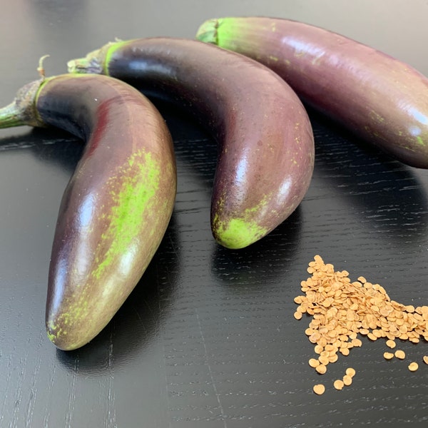 20 seeds of Filipino Eggplant (please read description)