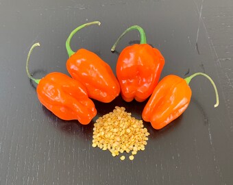 40 Orange Habanero Seeds (please read description)