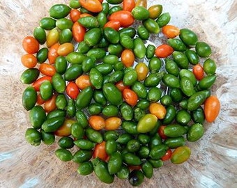 25 Chiltepin / Indian Pepper Seeds (please read description)