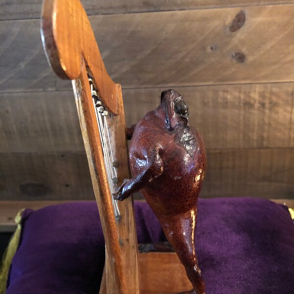 Taxidermy Frog Harp Player