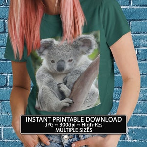 Póster imprimible de KOALA australiano, descarga instantánea, impresión en camiseta, arte mural fotográfico, impresión artística para camisetas, tarjetas de regalo, tazas y sudaderas.