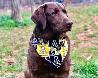 asu dog bandana