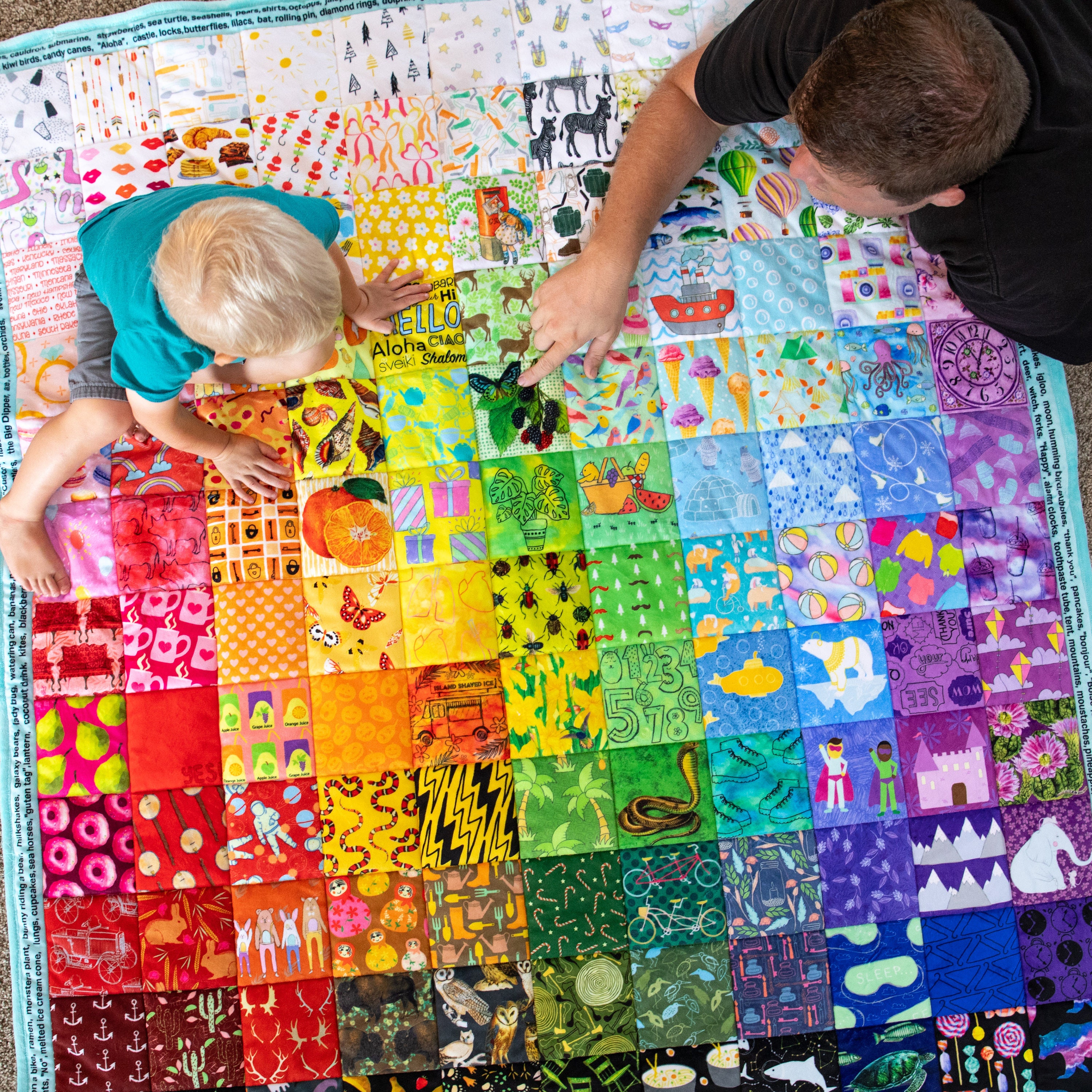 Minky Quilt Panel Hidden Pictures Eye Spy Quilt Kit for Kids Easy Quilt to Make Hide and Seek Quilt Kit Minky Etsy Canada