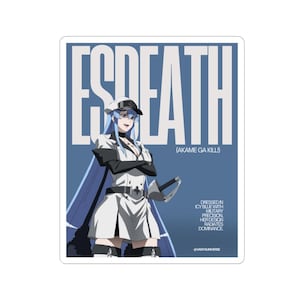 Anime Character Stickers - Esdeath from Akame ga Kill, Laptop Decor, Anime Collectibles, Gift for Fans, Wall Art, Kiss-Cut Stickers