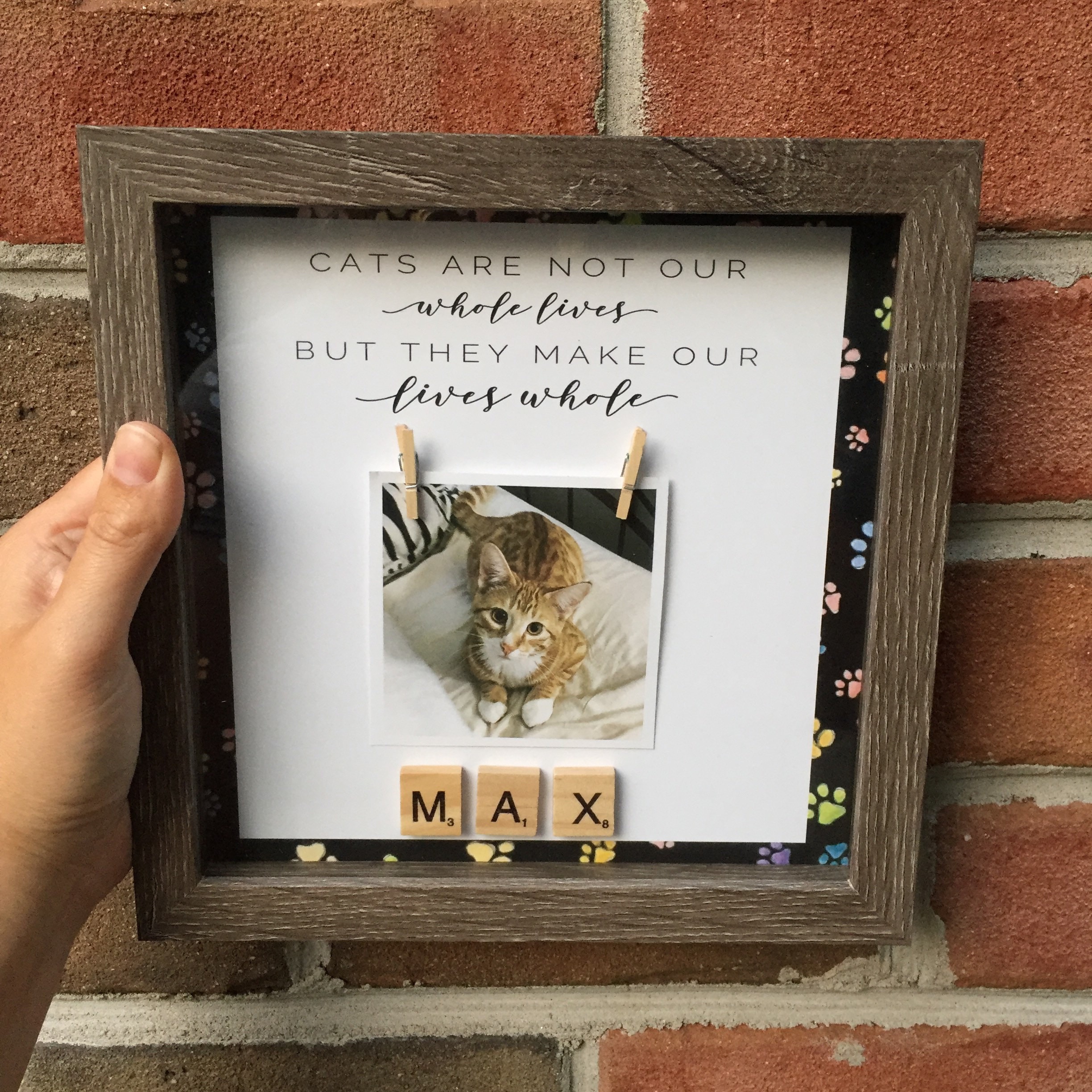 Cat best friend cat memorial box present cat memorial gift Etsy
