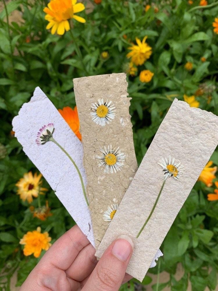 Beautiful DRIED FLOWER PAPER Bookmarks-handpressed 100% Recycled