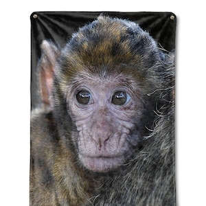 Monkey Personalized Blanket Fleece Throw Gift For Ape Lovers